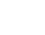 Key icon